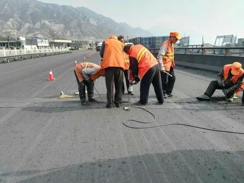 枣阳道路桥梁病害治理